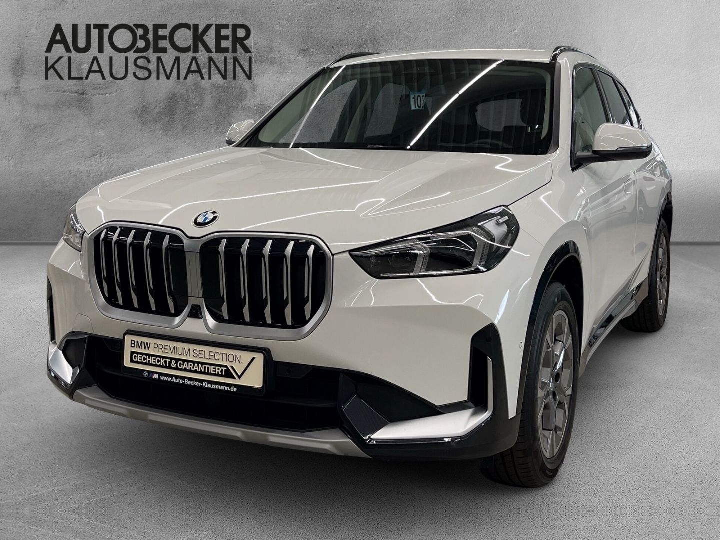 BMW X1 sDrive20i xLine 18''LC PROF HuD AHK SPORTSITZ foto 5