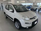 Fiat Panda 0.9 TwinAir 85 CV 4x4 - gebrauchte Fiat Panda aus dem Jahr 2016