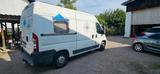 Fiat Ducato Wohnmobil - Fiat Ducato: Wohnmobil