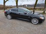 Jaguar XF 5.0 V8 Leder SHZ Kamera Navi - Jaguar: 8
