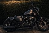 Harley-Davidson Sportster Iron 883, Scheckheft,5HD,um/unfallfrei - MOTORRAD UNFALL