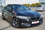 BMW 220i Sport Line Tempomat Sitzheizung Leder PDC - BMW 2er Reihe mit Benzin-Antrieb: Cabrio, Automatik