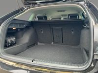 Skoda Octavia - Vorschau Bild 7