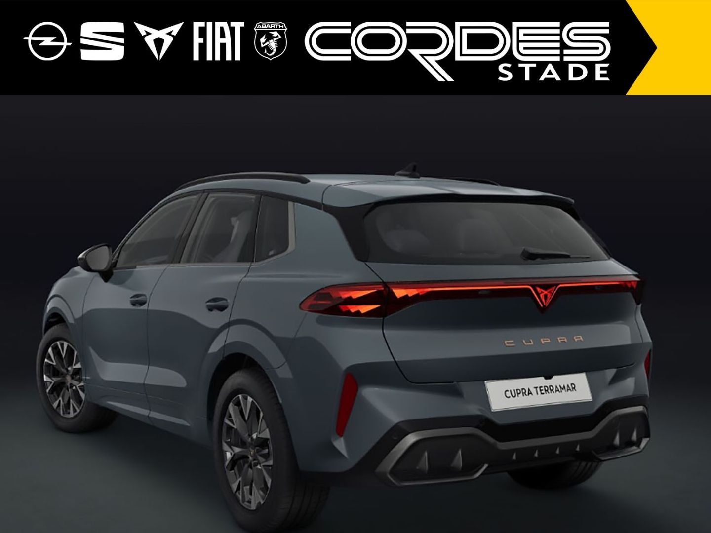 Cupra Terramar - Bild 4