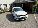 Volkswagen Polo 1.2 BlueMotion Technology LIFE LIFE Blu... - Volkswagen Polo: Bluemotion Technology