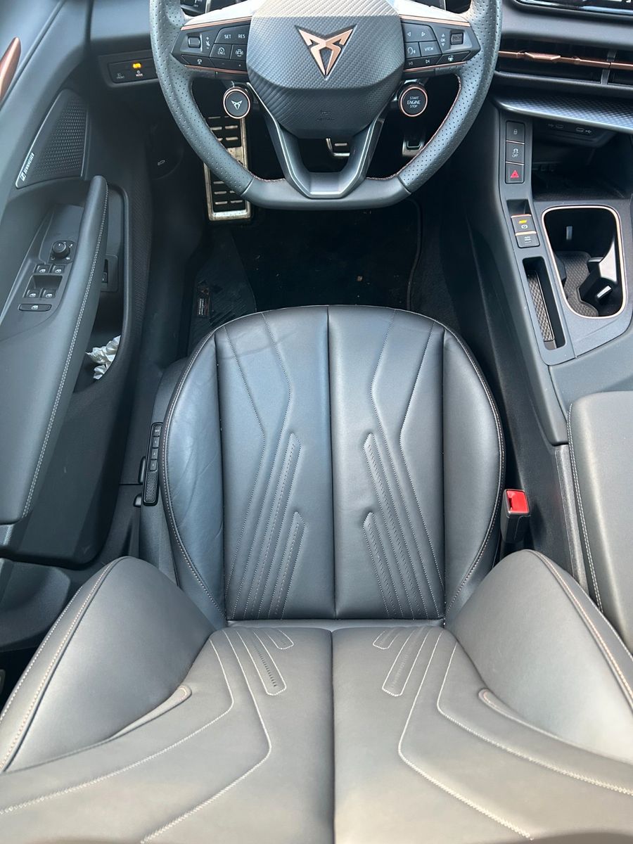 Cupra Terramar - Bild 5