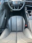 Cupra Terramar - Vorschau Bild 5