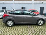Ford Focus Lim. Trend - Ford Focus Gebrauchtwagen in Kassel