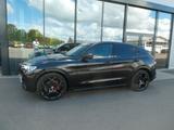 Alfa Romeo Stelvio Veloce Q4, SHZ, PDC, Bi-Xenon - Alfa Romeo: Automatik