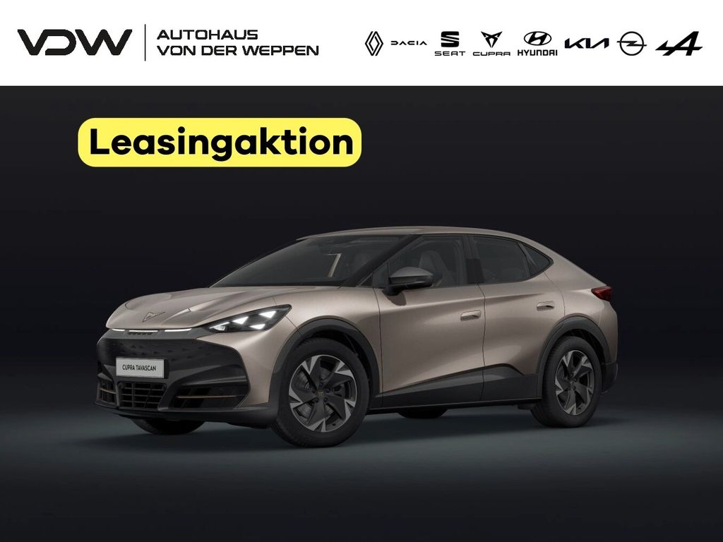 Tavascan Endurance 210 kW 77 kWh Allwetter SHZ