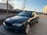 BMW 3 Cabrio 320 Ci  Special Edition ,Unfallfrei - BMW 320 aus 2006: Ci