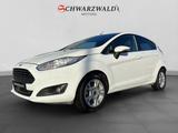 Ford Fiesta Titanium Keyless Go Ambiente Navigation - Ford Fiesta mit LPG-Antrieb