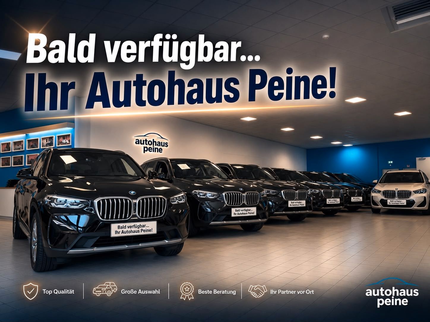 BMW X1 xDrive25e/SpMem/Pano/KeyL/360Kam/AHK/HUD/HarK