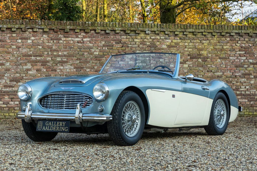 Austin Healey Andere