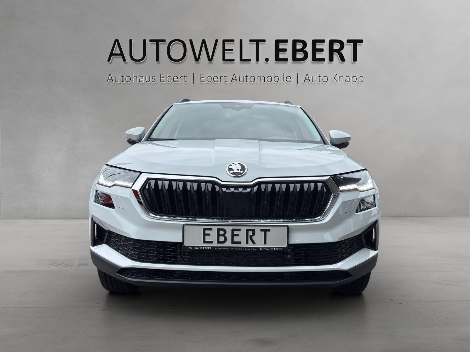 Fahrzeugabbildung SKODA Karoq Balance 1,5 TSI 110 kW DSG MATRIX/RFK/AHK
