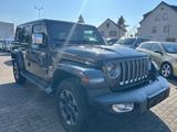 Jeep Wrangler / Wrangler Unlimited Sahara - Jeep: Sahara