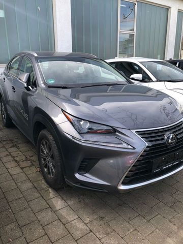 Lexus NX 300h