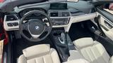 BMW 430d Cabrio Sport Line, HeadUp, Anhänger, Leder - BMW 430: 430d