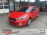 Kia Ceed 1.4 Edition 7 Klima|16"|Alu - Kia cee'd / Ceed in Chemnitz