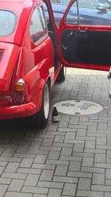 Fiat 600 D 850TC Abarth Oldtimer - Fiat 600 von privat