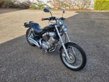 Yamaha XV 535 Virago 535 ----> leichter Umbau - YAMAHA 1993 VIRAGO 535
