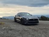 Ford Mustang GT 5.0 I RECARO I MagneRide I B&O I Man. - Ford Mustang: I