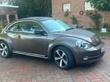 Volkswagen Beetle 1.4 TSI BMT Exclusive Sport Exclusive... - Volkswagen Beetle: Exclusive Sport