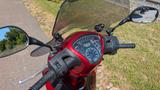 Honda SH150 - EXPORT / Wiederverkäufer - ROLLER VON 126 BIS 250 CCM