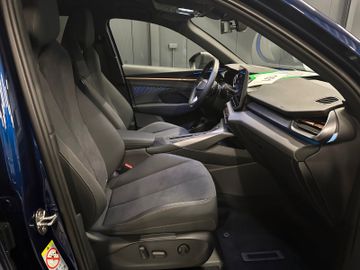 Cupra Terramar - 10