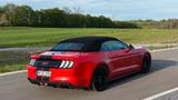 Ford Mustang GT 5.0 V8 Cabrio Premium - gebrauchte Ford Mustang aus dem Jahr 2021
