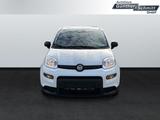 Fiat Panda 1.0 Pandina - Fiat Panda in Wiesbaden