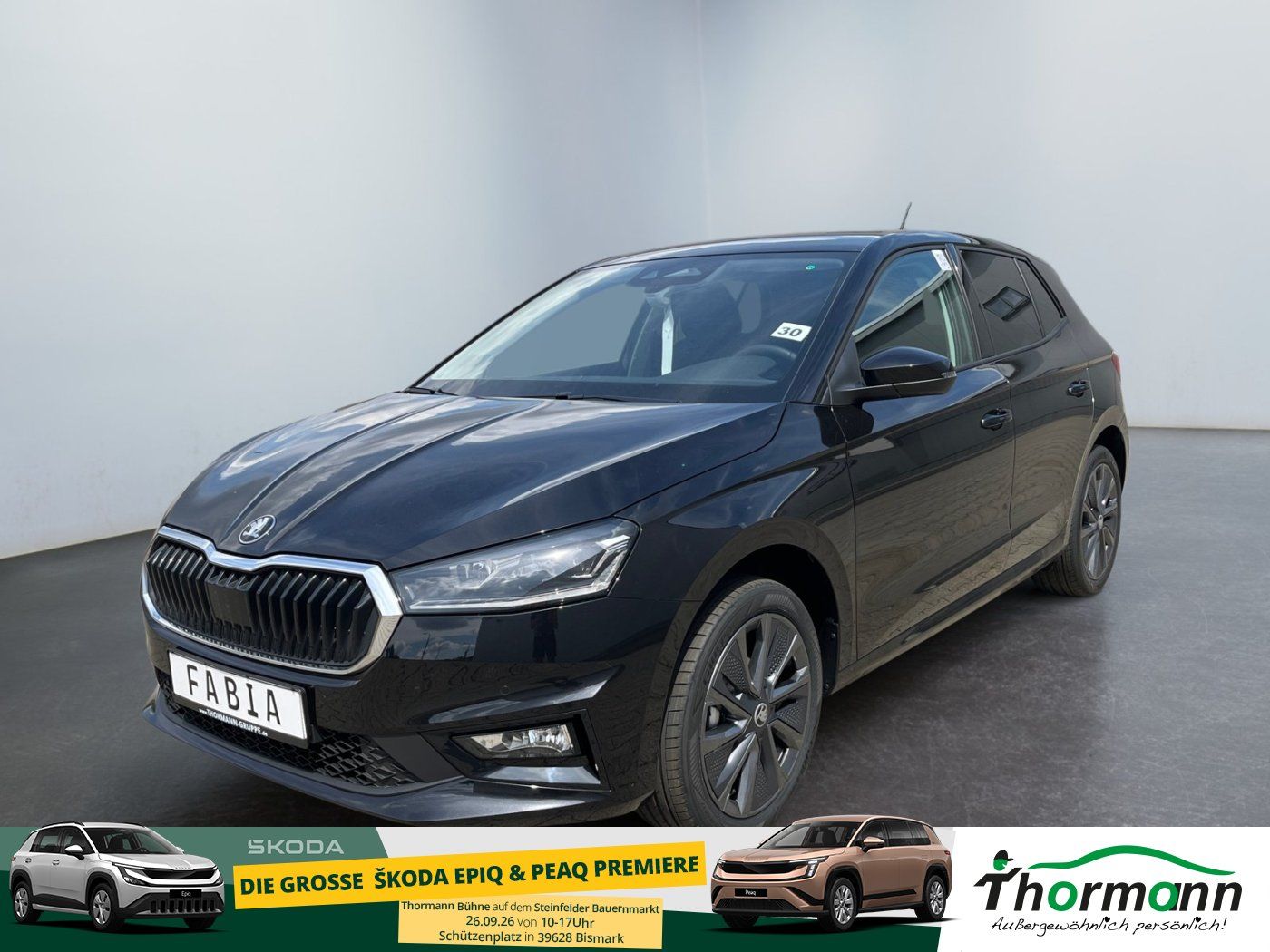 Skoda Fabia Balance 1.0 MPI Rückfahrkamera Klima Sunse