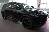 Andere Dongfeng Huge 1.5 T AT Hybrid Premium 5JG AKTION - Andere: Leder