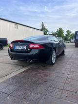 Jaguar XKR 5.0 V8 XKR Coupé R - Jaguar XKR Gebrauchtwagen