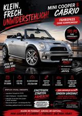 MINI Mini Cooper S Cabrio  - MINI Cooper S Cabrio aus 2006: Roadster