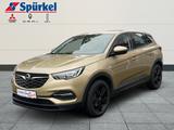 Opel Grandland X Selection 1.2, Bluetooth, Rückfahrka - mit Benzin-Antrieb: Beige, Bluetooth