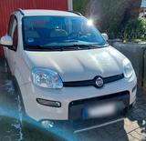 Fiat Panda Trekking 0.9 Twinair mit Anhäng... - Fiat Panda Gebrauchtwagen in Karlsruhe