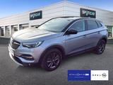Opel Grandland X 130 2020 1.5 D EAT Grandland X 1.5 D - Opel Grandland (X) Gebrauchtwagen in Berlin