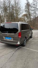 Mercedes-Benz V 250 d 4MATIC AVANTGARDE EDITION lang AVANT... - Mercedes-Benz mit Diesel-Antrieb: Beige