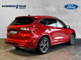 Ford Kuga ST-Line X Plug-In Hybrid - Ford Kuga Tageszulassungen