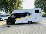 Frankia T NOW SUN 7.0 L #CHASSIS VOLL - Frankia Teilintegrierter