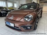 Volkswagen Beetle Cabriolet 2.0 TDI 5-Gang FENDER XENON KAM - Volkswagen Beetle: TDI