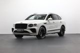 Bentley Bentayga V8 Touring/Sunshine/Mulliner/Panorama - Bentley in Ludwigshafen