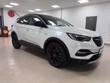 Opel Grandland X 1.2 Turbo INNOVATION*360 Grad*STZBLF - Opel Grandland (X) innovation mit Benzin-Antrieb