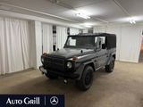 Mercedes-Benz G 250GD Wolf + - Mercedes-Benz G 250: Gd