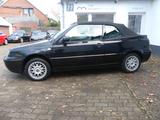 Volkswagen Golf 2.0 Auto Highline Cabriolet, 2. Hd., Orig. - Volkswagen Golf mit Benzin-Antrieb: Cabrio, 2.0