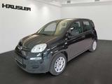 Fiat Panda 1.0 Mild Hybrid Radio Klimaanlage Citiy Mo