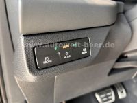 Cupra Terramar - Vorschau Bild 16