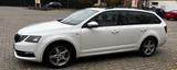 Skoda Octavia 1.6 TDI SCR DSG SOLEIL Combi SOLEIL - Skoda Octavia mit Diesel-Antrieb: 1.6