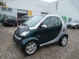 Smart ForTwo AUTOM TÜV 11.25 LEDER SITZH STANDH KLIMAA - Smart ForTwo: Grün